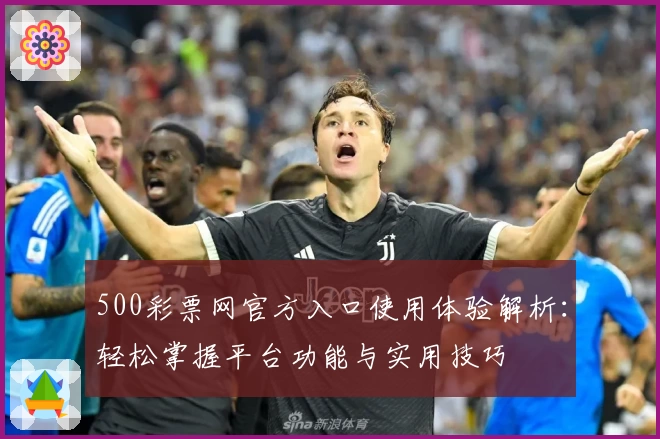500彩票网官方入口使用体验解析：轻松掌握平台功能与实用技巧